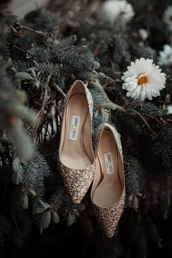 Sparkling shoes elegantly displayed on a pine branch with a daisy, perfect for a whimsical fashion concept.
